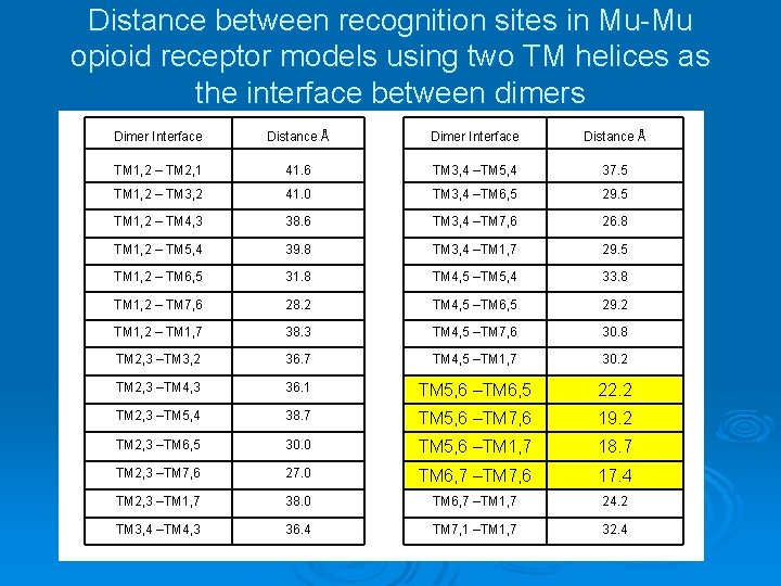 Distance between recognition sites in Mu-Mu opioid receptor models using two TM helices as