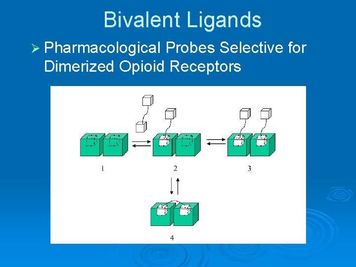 Bivalent Ligands Ø Pharmacological Probes Selective for Dimerized Opioid Receptors 