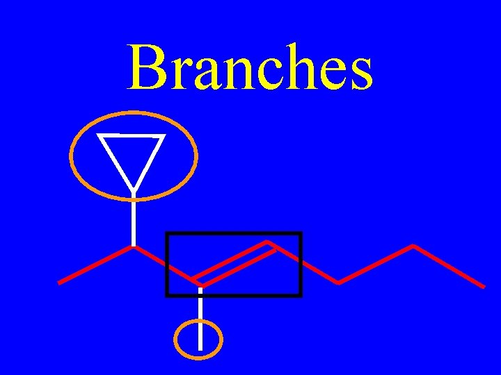 Branches 
