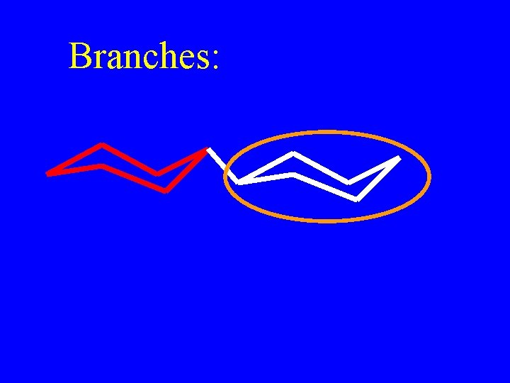 Branches: 