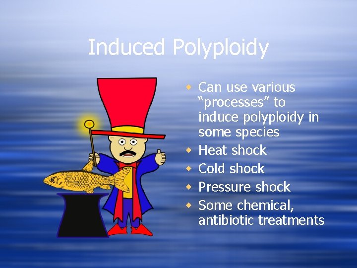Induced Polyploidy w Can use various “processes” to induce polyploidy in some species w