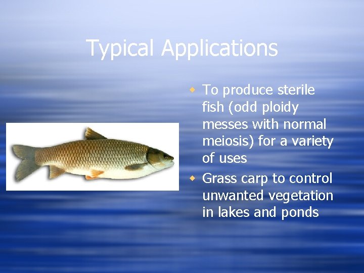 Typical Applications w To produce sterile fish (odd ploidy messes with normal meiosis) for