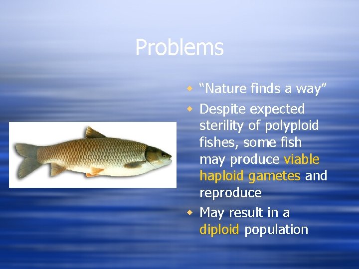 Problems w “Nature finds a way” w Despite expected sterility of polyploid fishes, some