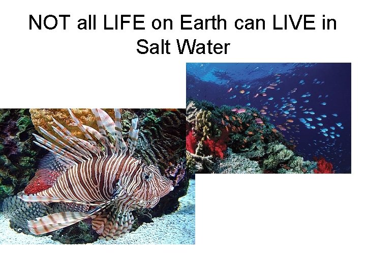 NOT all LIFE on Earth can LIVE in Salt Water 