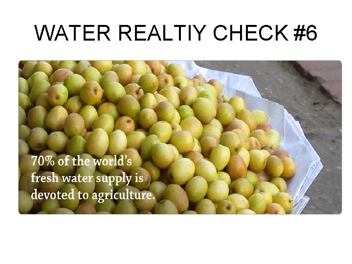 WATER REALTIY CHECK #6 