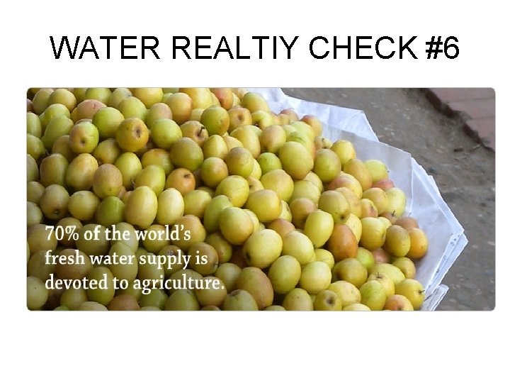 WATER REALTIY CHECK #6 