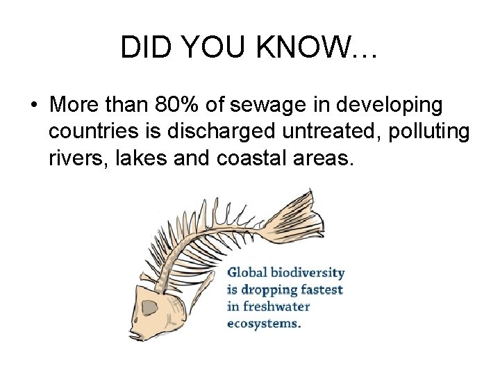 DID YOU KNOW… • More than 80% of sewage in developing countries is discharged
