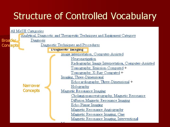 Structure of Controlled Vocabulary Broader Concepts Narrower Concepts 