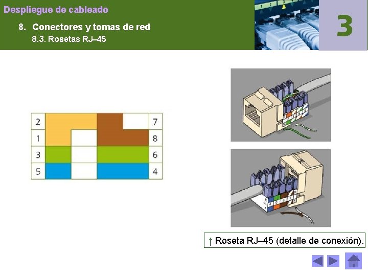Despliegue de cableado 8. Conectores y tomas de red 8. 3. Rosetas RJ– 45