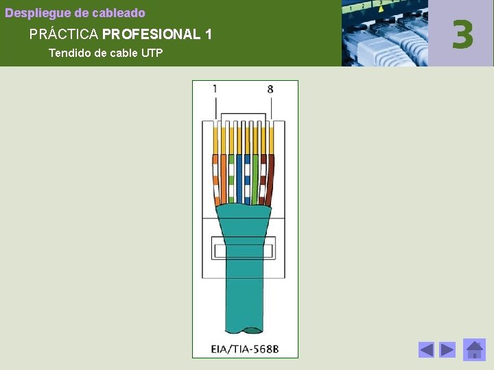 Despliegue de cableado PRÁCTICA PROFESIONAL 1 Tendido de cable UTP 