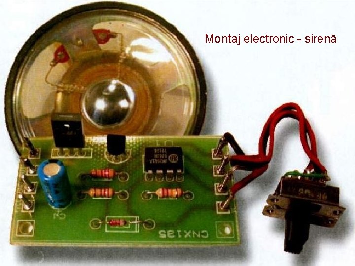 Montaj electronic - sirenă Prof. Elena Răducanu, Colegiul Naţional Bănăţean, Timişoara 