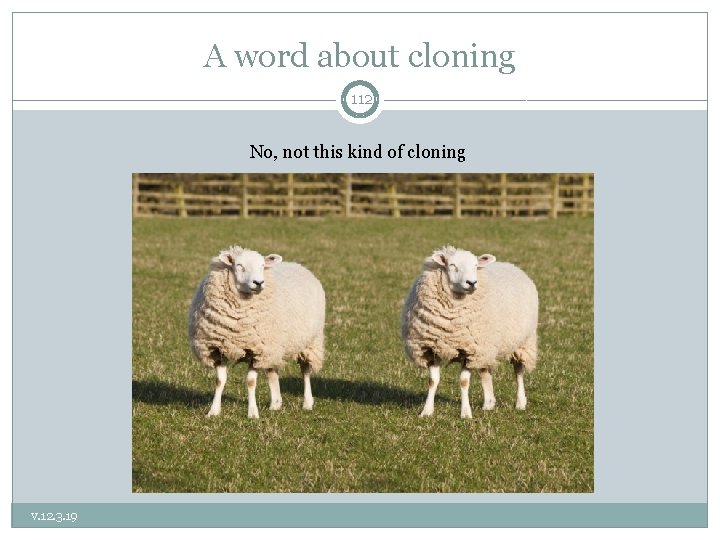 A word about cloning 112 No, not this kind of cloning v. 12. 3.