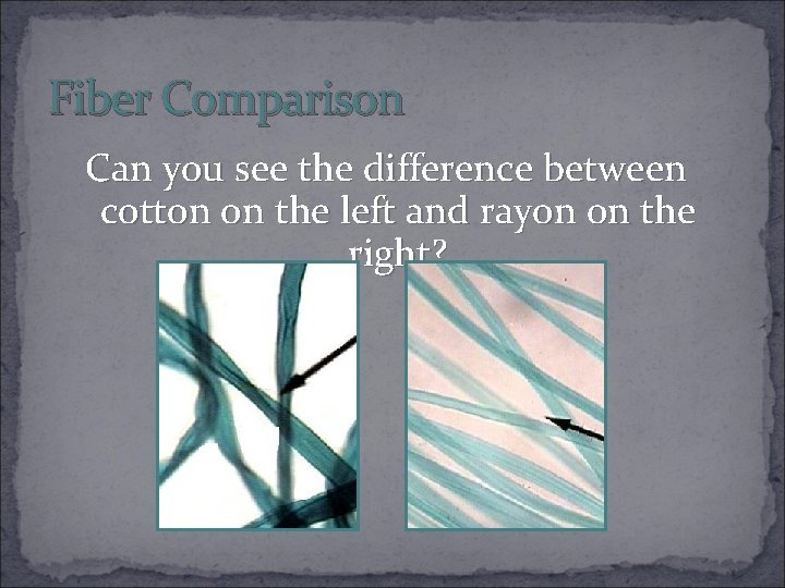 Fiber Comparison Can you see the difference between cotton on the left and rayon