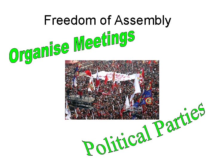 Freedom of Assembly 