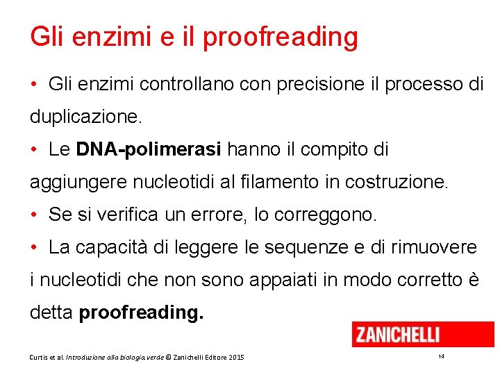 Gli enzimi e il proofreading • Gli enzimi controllano con precisione il processo di