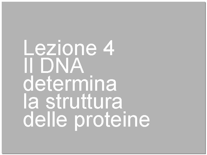 Lezione 4 Il DNA determina la struttura delle proteine 