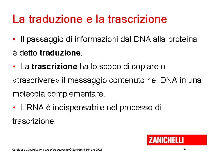 La traduzione e la trascrizione • Il passaggio di informazioni dal DNA alla proteina