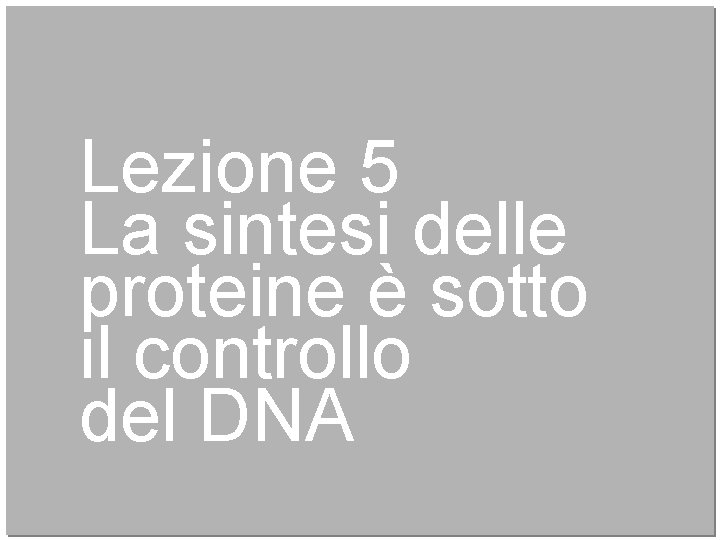 Lezione 5 La sintesi delle proteine è sotto il controllo del DNA 