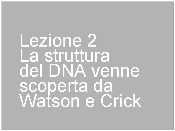 Lezione 2 La struttura del DNA venne scoperta da Watson e Crick 