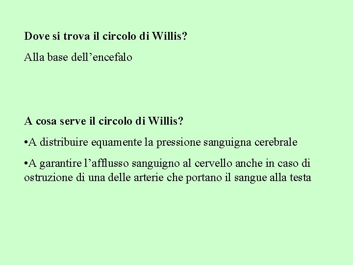 Dove si trova il circolo di Willis? Alla base dell’encefalo A cosa serve il