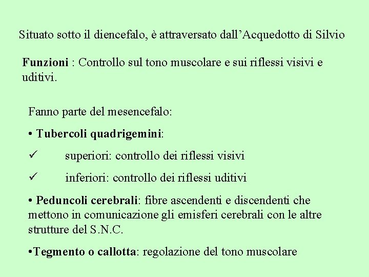 Situato sotto il diencefalo, è attraversato dall’Acquedotto di Silvio Funzioni : Controllo sul tono