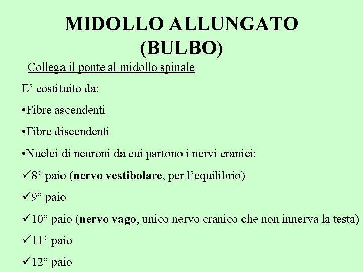 MIDOLLO ALLUNGATO (BULBO) Collega il ponte al midollo spinale E’ costituito da: • Fibre