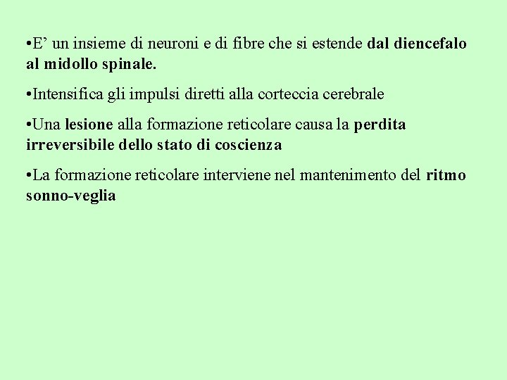  • E’ un insieme di neuroni e di fibre che si estende dal
