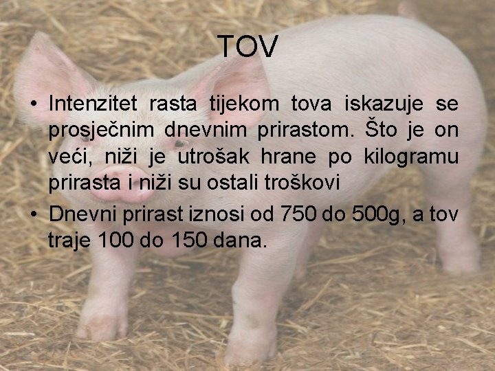 TOV • Intenzitet rasta tijekom tova iskazuje se prosječnim dnevnim prirastom. Što je on