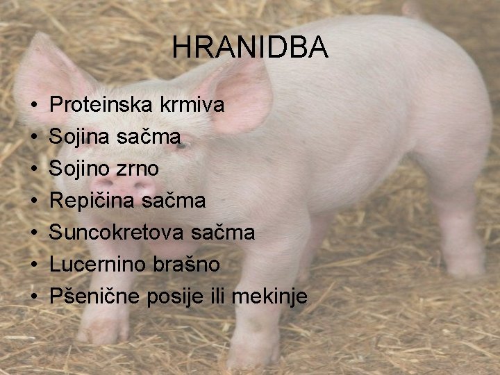 HRANIDBA • • Proteinska krmiva Sojina sačma Sojino zrno Repičina sačma Suncokretova sačma Lucernino