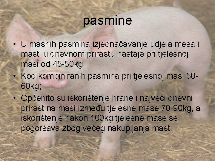 pasmine • U masnih pasmina izjednačavanje udjela mesa i masti u dnevnom prirastu nastaje