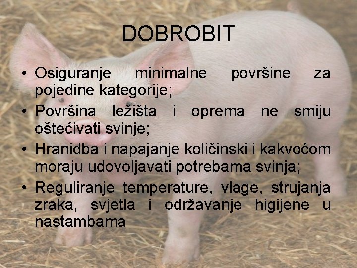 DOBROBIT • Osiguranje minimalne površine za pojedine kategorije; • Površina ležišta i oprema ne