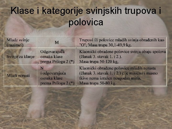 Klase i kategorije svinjskih trupova i polovica 