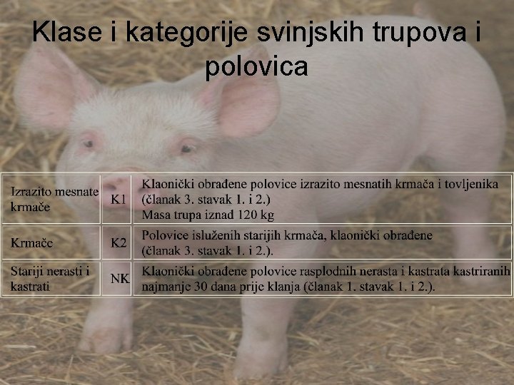 Klase i kategorije svinjskih trupova i polovica 