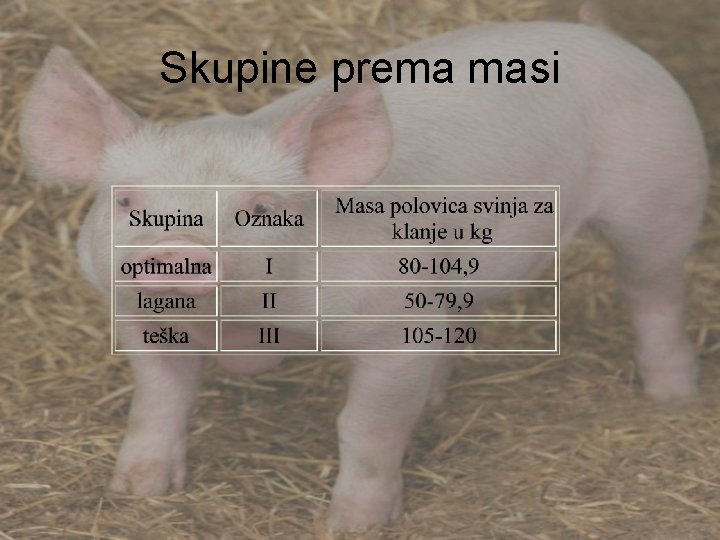 Skupine prema masi 