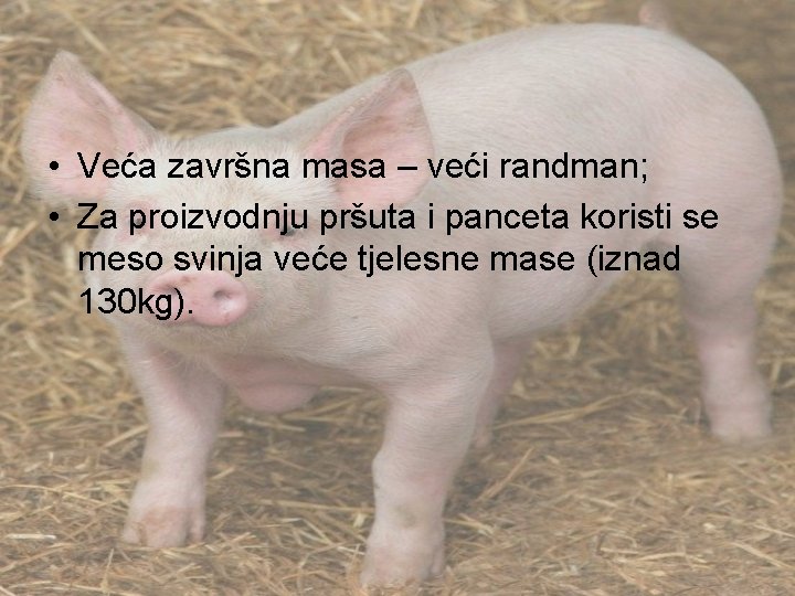  • Veća završna masa – veći randman; • Za proizvodnju pršuta i panceta