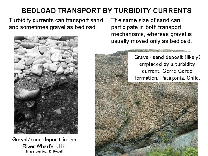 BEDLOAD TRANSPORT BY TURBIDITY CURRENTS Turbidity currents can transport sand, The same size of