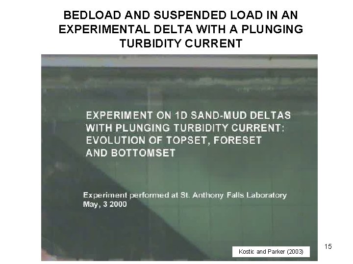 BEDLOAD AND SUSPENDED LOAD IN AN EXPERIMENTAL DELTA WITH A PLUNGING TURBIDITY CURRENT Kostic