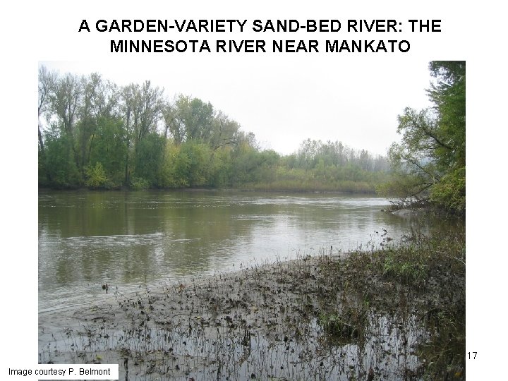 A GARDEN-VARIETY SAND-BED RIVER: THE MINNESOTA RIVER NEAR MANKATO 17 Image courtesy P. Belmont