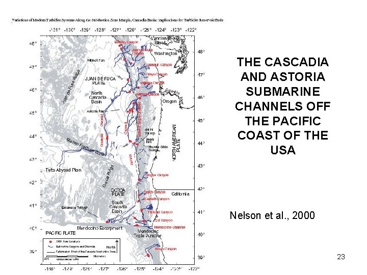 THE CASCADIA AND ASTORIA SUBMARINE CHANNELS OFF THE PACIFIC COAST OF THE USA Nelson