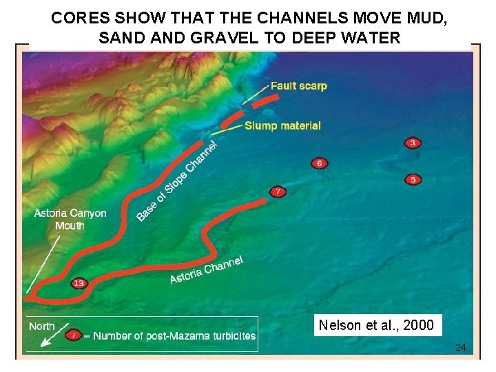 CORES SHOW THAT THE CHANNELS MOVE MUD, SAND GRAVEL TO DEEP WATER Nelson et