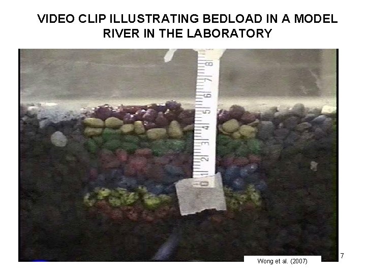 VIDEO CLIP ILLUSTRATING BEDLOAD IN A MODEL RIVER IN THE LABORATORY Wong et al.
