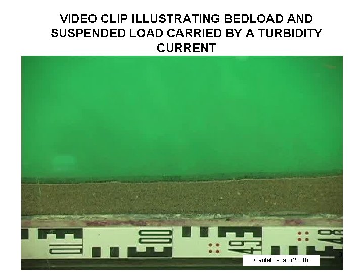 VIDEO CLIP ILLUSTRATING BEDLOAD AND SUSPENDED LOAD CARRIED BY A TURBIDITY CURRENT Cantelli et