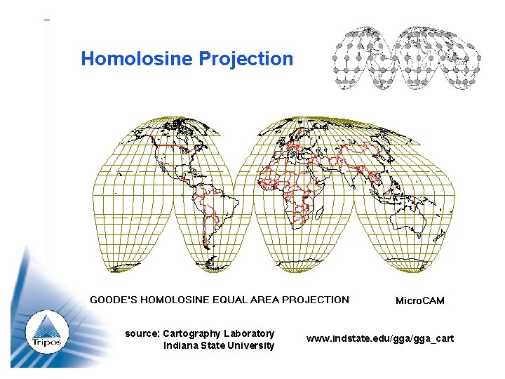 Homolosine Projection source: Cartography Laboratory Indiana State University www. indstate. edu/gga_cart 