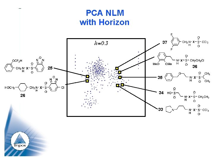 PCA NLM with Horizon 37 36 25 35 26 34 33 