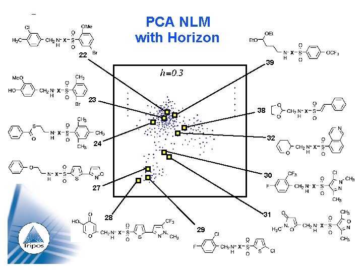 PCA NLM with Horizon 22 39 23 38 32 24 30 27 31 28