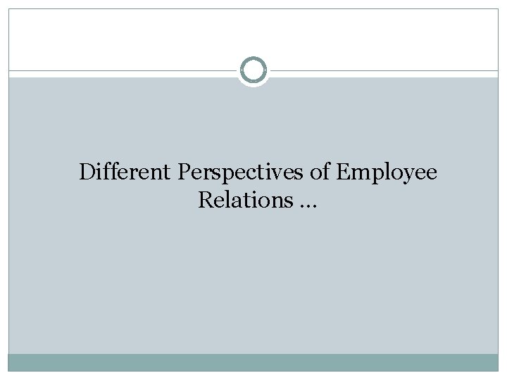 Different Perspectives of Employee Relations … 