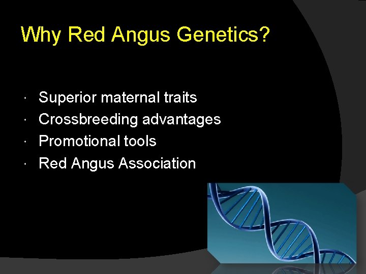 Why Red Angus Genetics? Superior maternal traits Crossbreeding advantages Promotional tools Red Angus Association