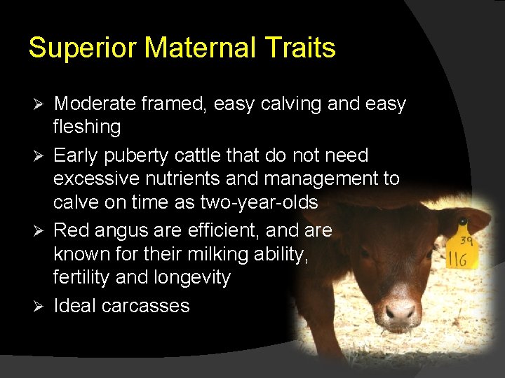 Superior Maternal Traits Moderate framed, easy calving and easy fleshing Ø Early puberty cattle
