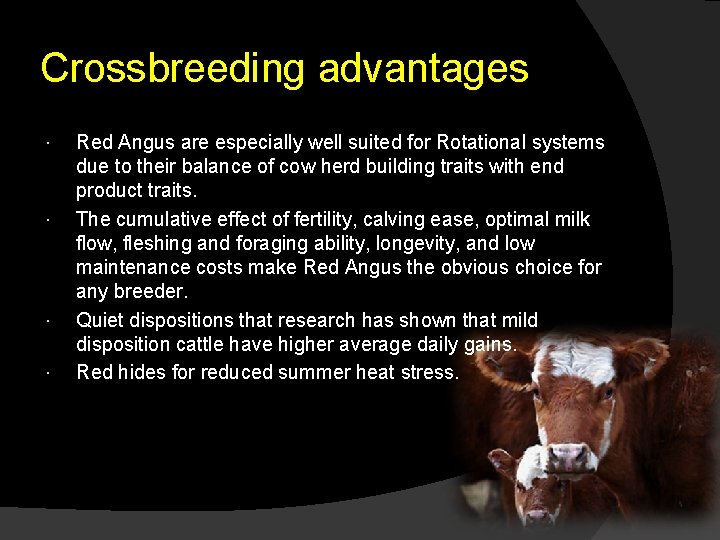 Crossbreeding advantages Red Angus are especially well suited for Rotational systems due to their