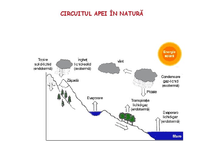 CIRCUITUL APEI ÎN NATURĂ 